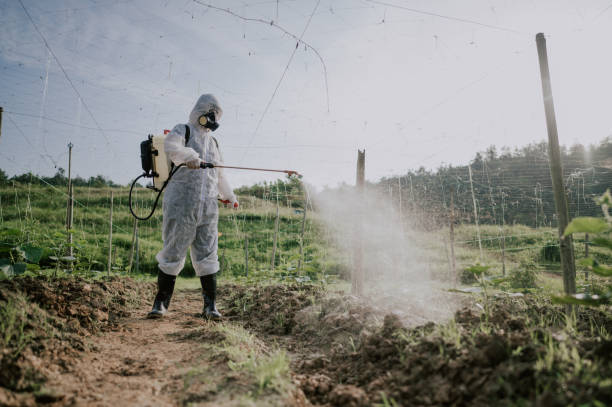 Best Affordable Pest Control Services  in Treasure Lake, PA