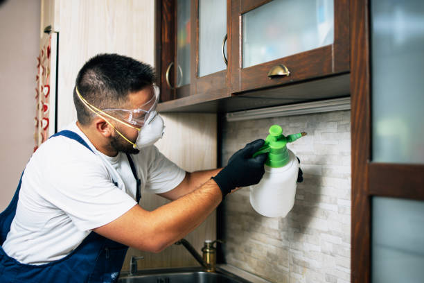 Best Pest Prevention Services  in Treasure Lake, PA