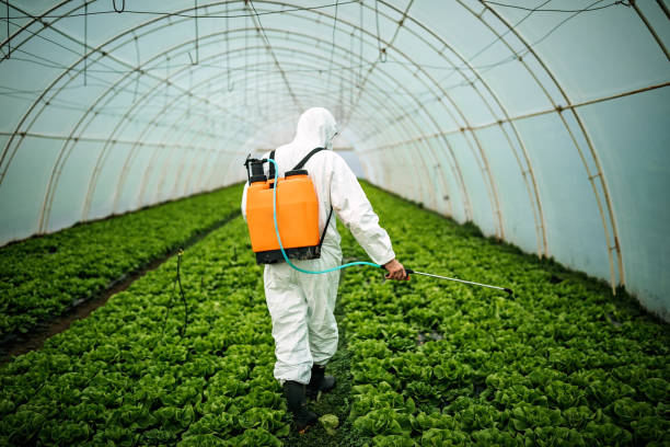 Best Pest Removal Services  in Treasure Lake, PA