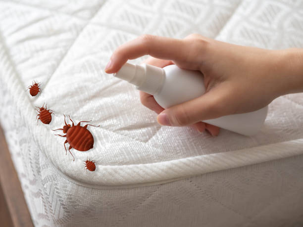 Best Pest Removal Services  in Treasure Lake, PA