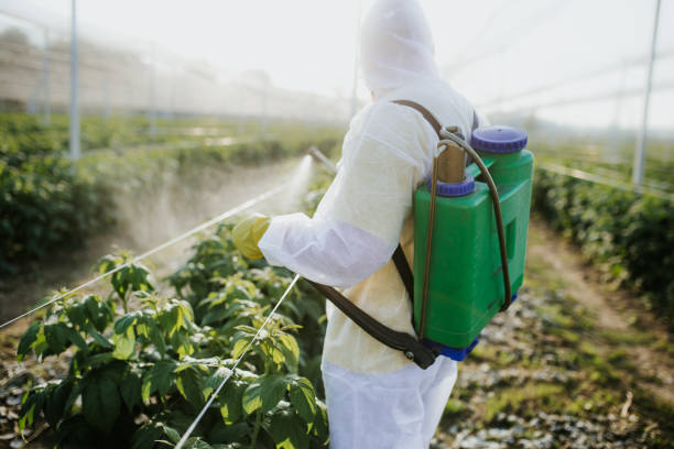 Best Affordable Pest Control Services  in Treasure Lake, PA